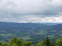 81. CA Stein bei Loipersdorf Frühjahr (14)