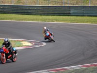 2011 IGFC 8. RHG Rennen RBR (125)