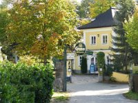 Franz Josefs Fahrt Bad Ischl  (42)