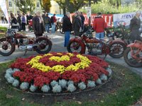 Franz Josefs Fahrt Bad Ischl  (52)