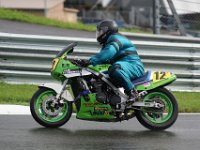 13. RHG RBR -500ccm (96)